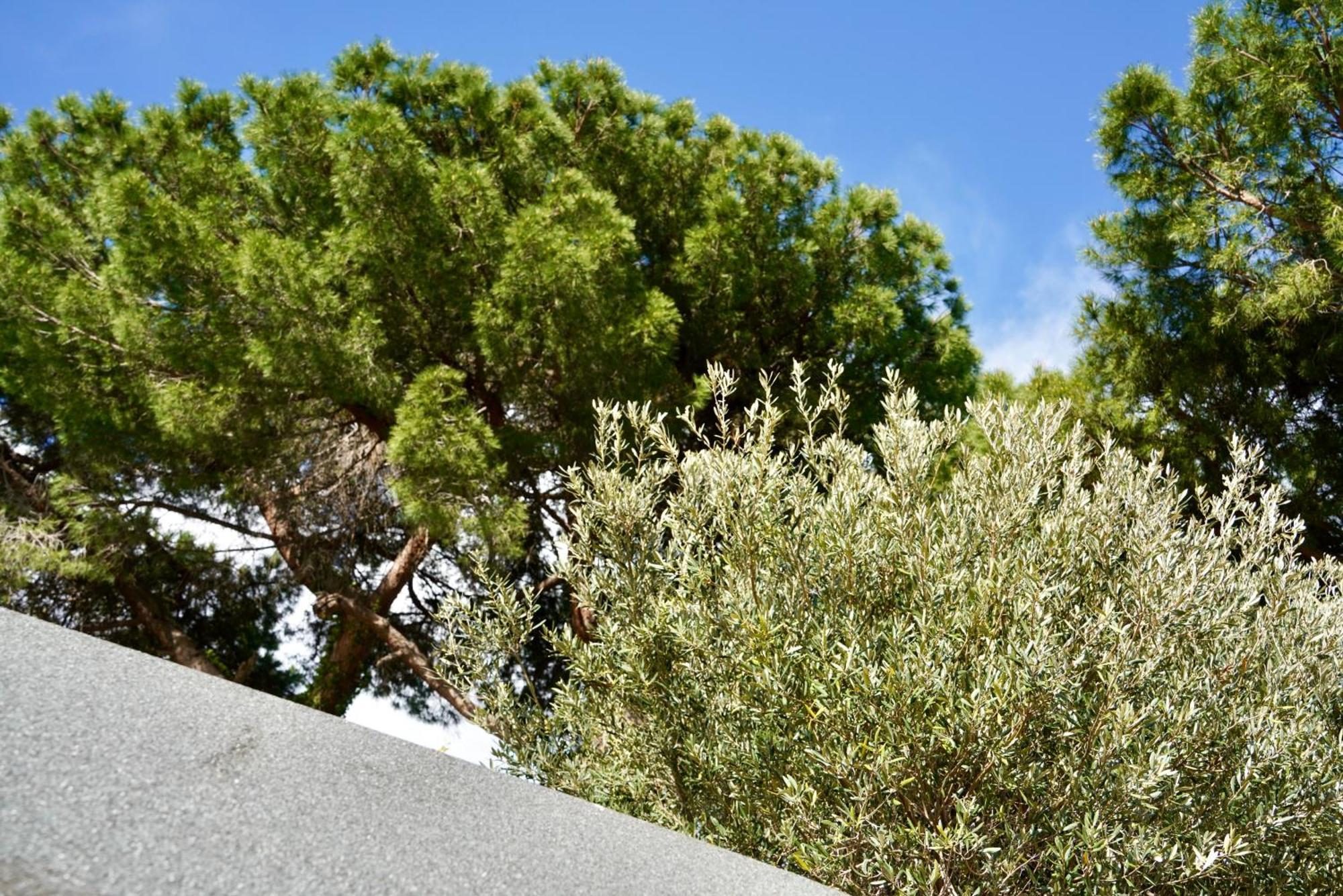 Starsbox Jacuzzi Privata E Piscina Vista Mare Ξενοδοχείο Celle Ligure Εξωτερικό φωτογραφία